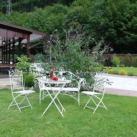 Pensiunea Roua Florilor Hotel Anina Buitenkant foto