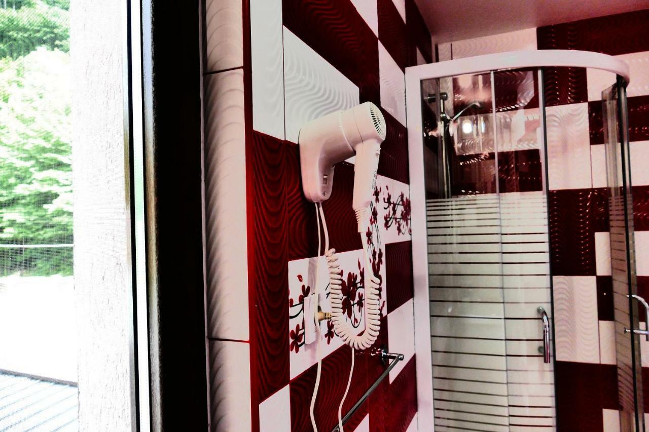 Pensiunea Roua Florilor Hotel Anina Buitenkant foto