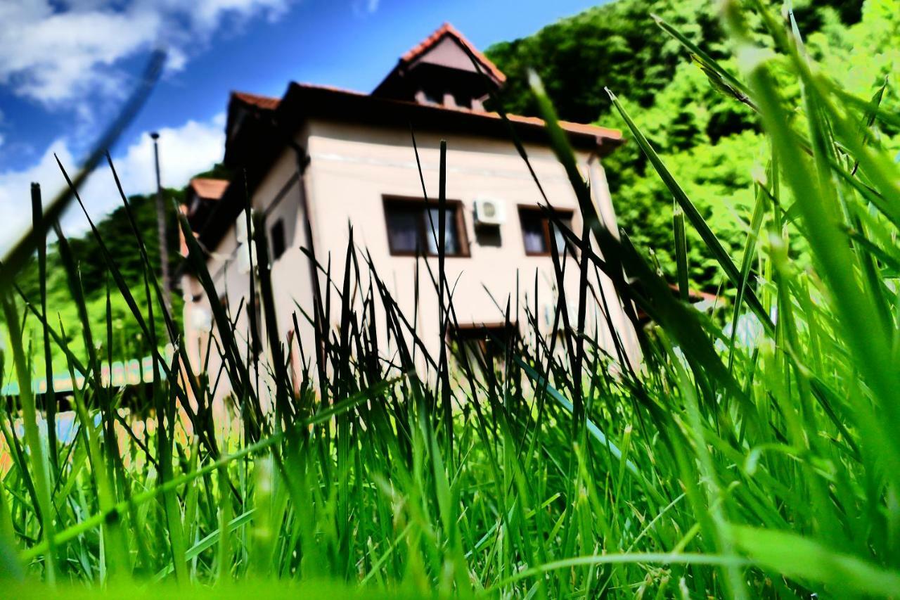 Pensiunea Roua Florilor Hotel Anina Buitenkant foto