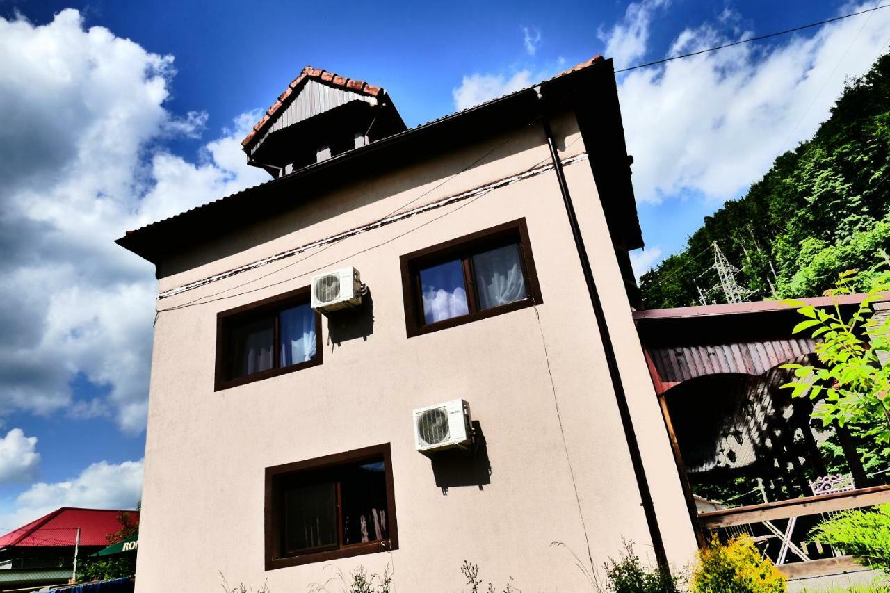 Pensiunea Roua Florilor Hotel Anina Buitenkant foto