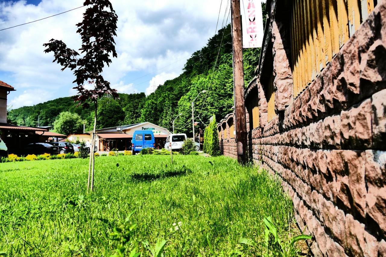 Pensiunea Roua Florilor Hotel Anina Buitenkant foto