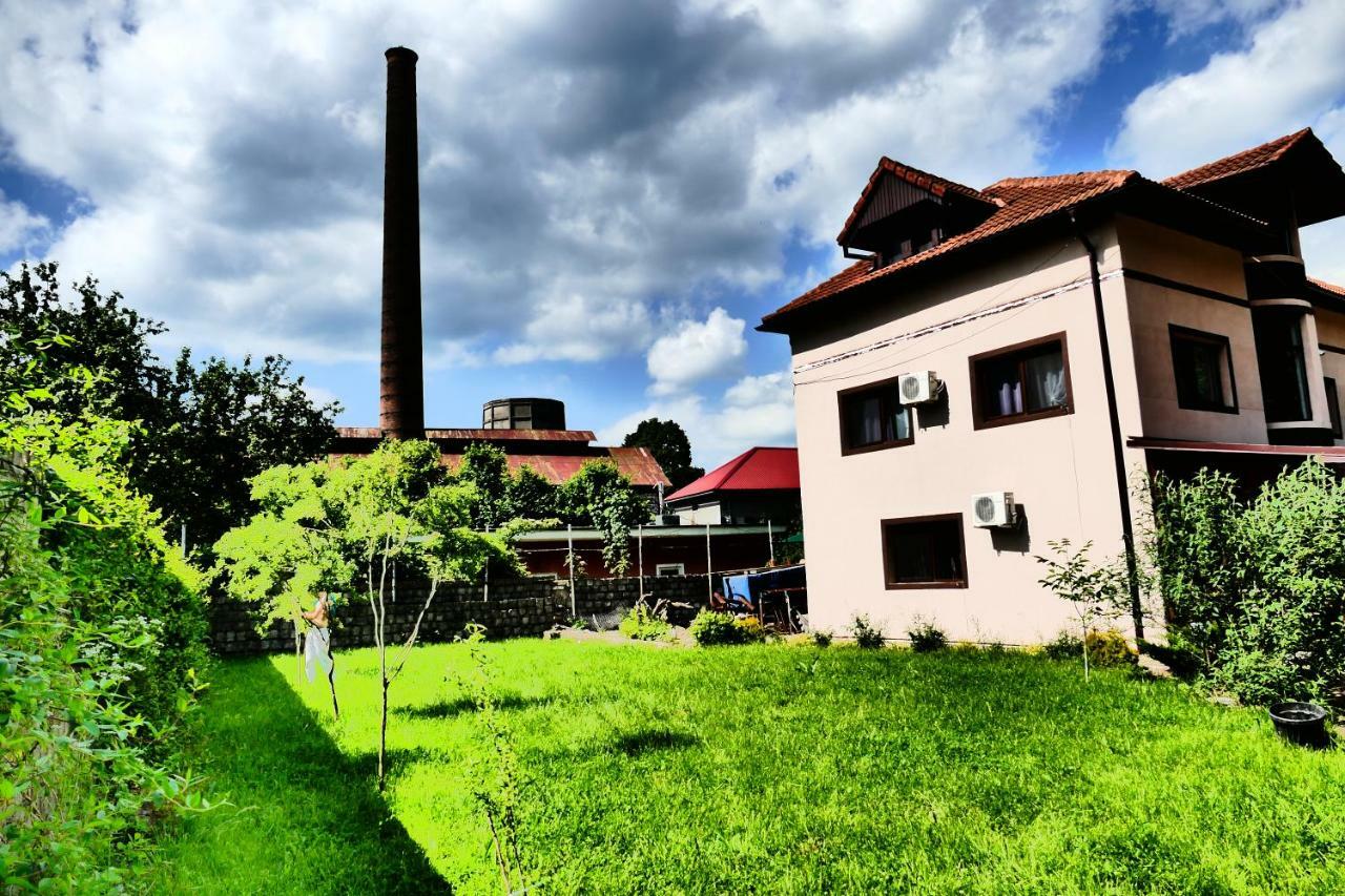 Pensiunea Roua Florilor Hotel Anina Buitenkant foto