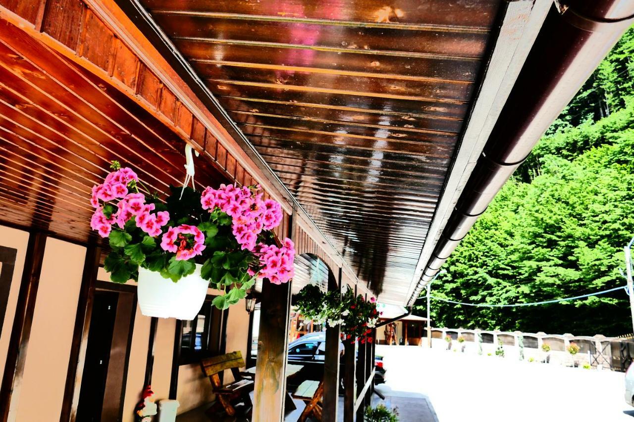 Pensiunea Roua Florilor Hotel Anina Buitenkant foto
