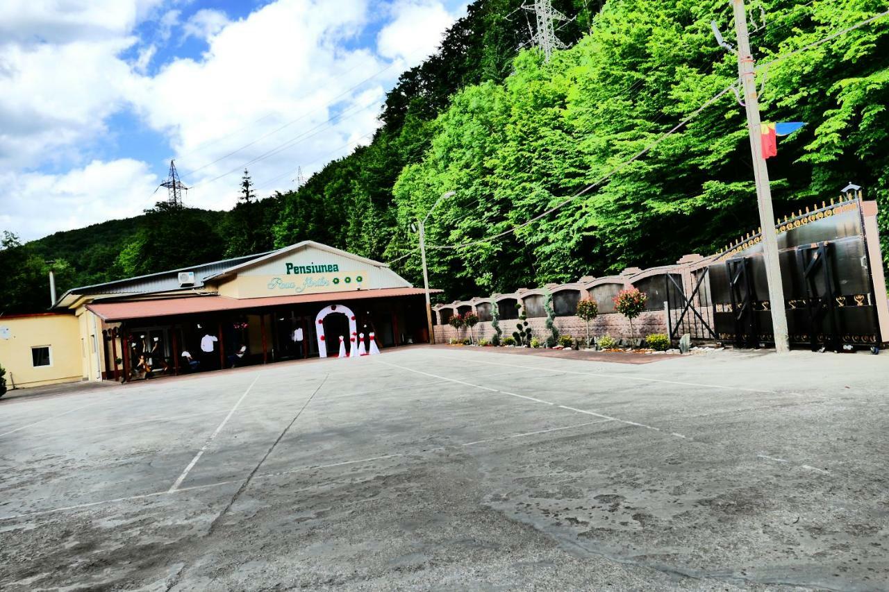 Pensiunea Roua Florilor Hotel Anina Buitenkant foto